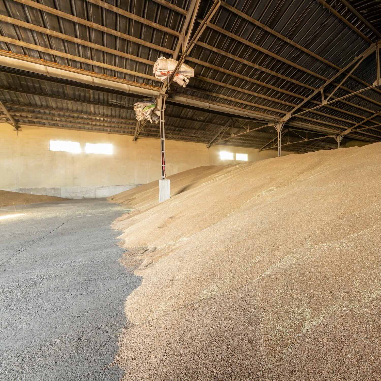 Création de silo agricole, C.S.T.P, Orchies, Saint-Amand-Les-Eaux, Marchiennes, Valenciennes, Villeneuve d'Ascq